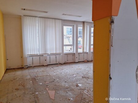 Prenova knjižnice (1)